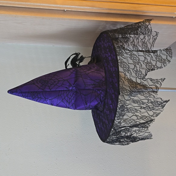 Halloween Witch Hat Purple Costume Skull Spider Web Lace - Picture 4 of 7